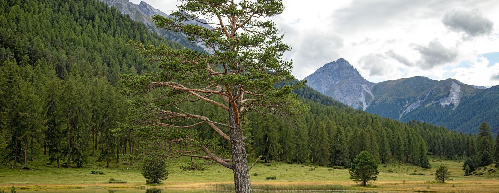 Wandern im Unterengadin