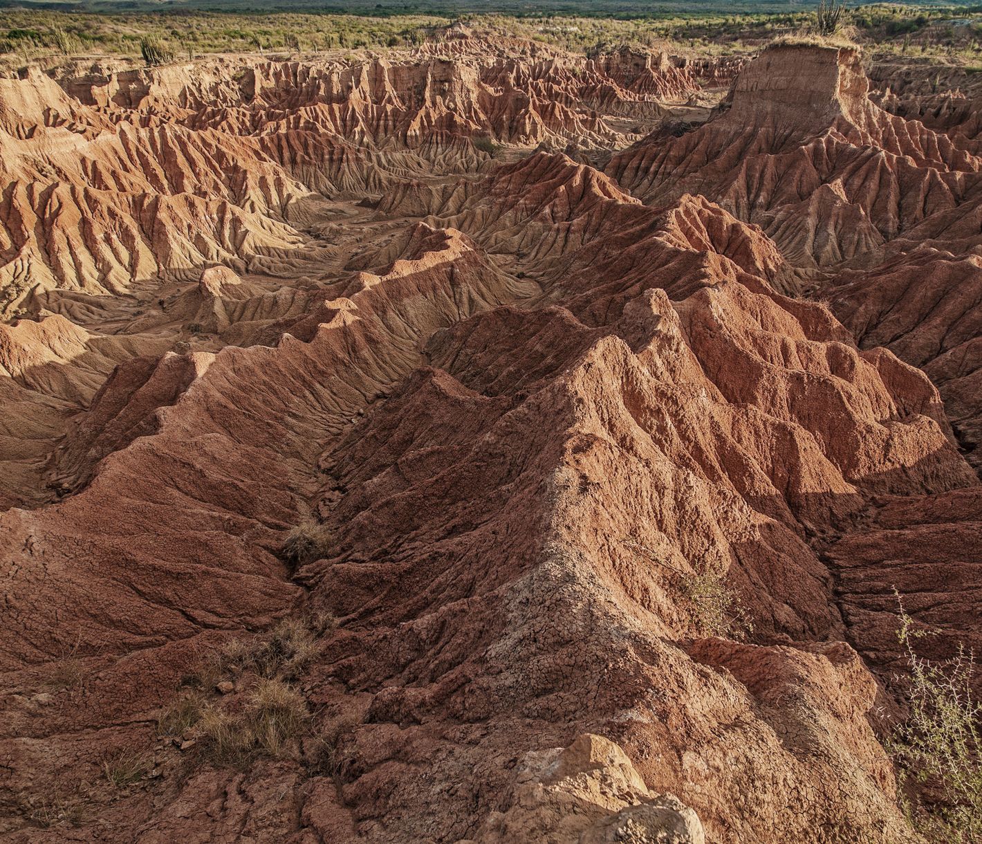 Wenn die Natur ihre Künstlerseele offenbart...