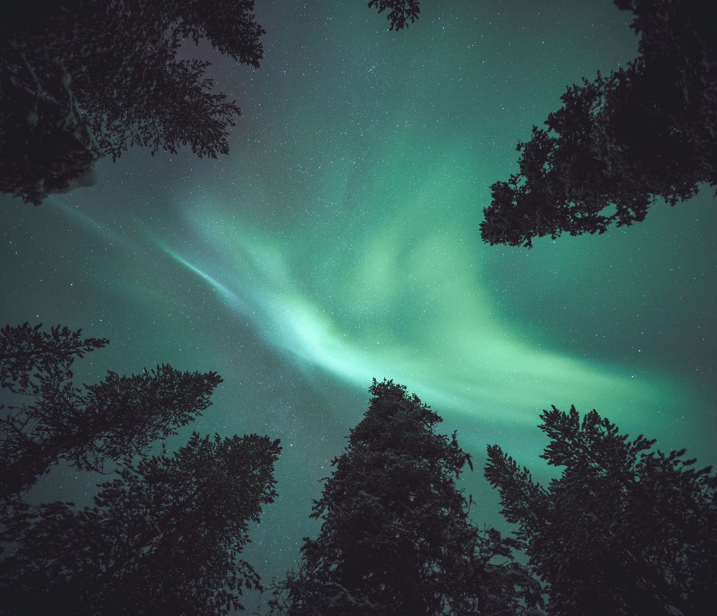 Von tanzenden Nordlichtern