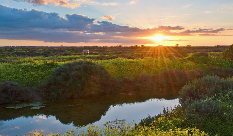 Naturpark Bahia de Cadiz
