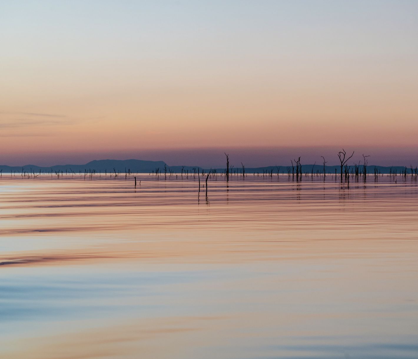 Le lac Kariba, un joyau naturel essentiel à la vie sauvage