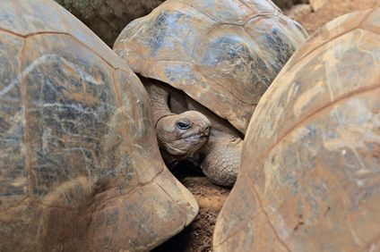 6. Bild der Rundreise