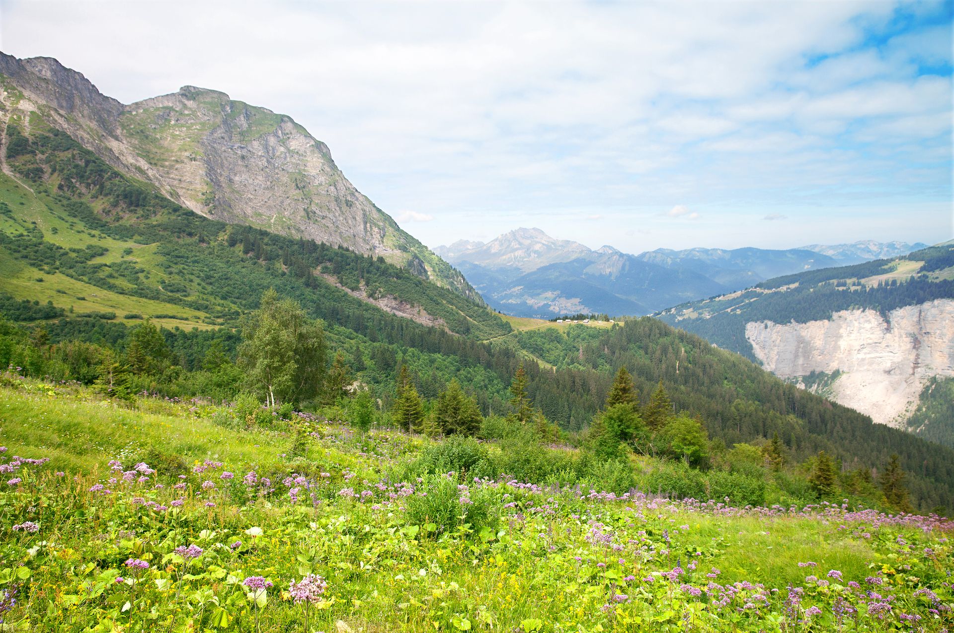 Berglandschaft im Sommer