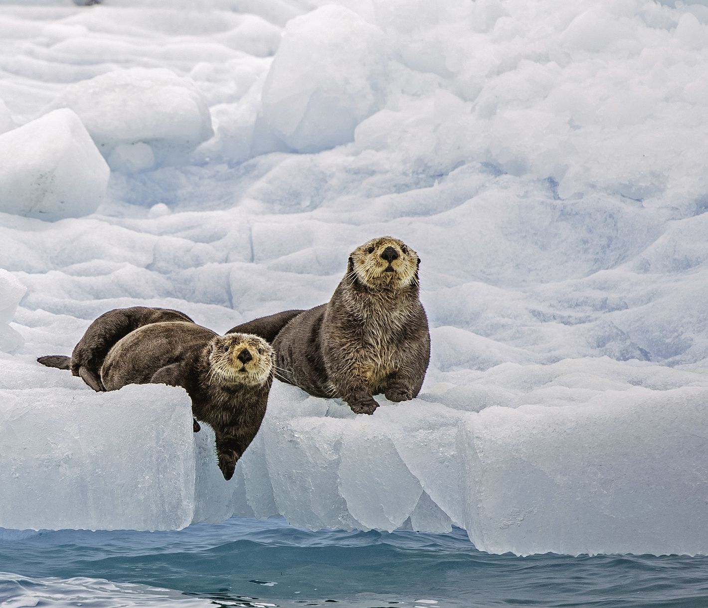 Per Fähre durch die Gletscherwelt.