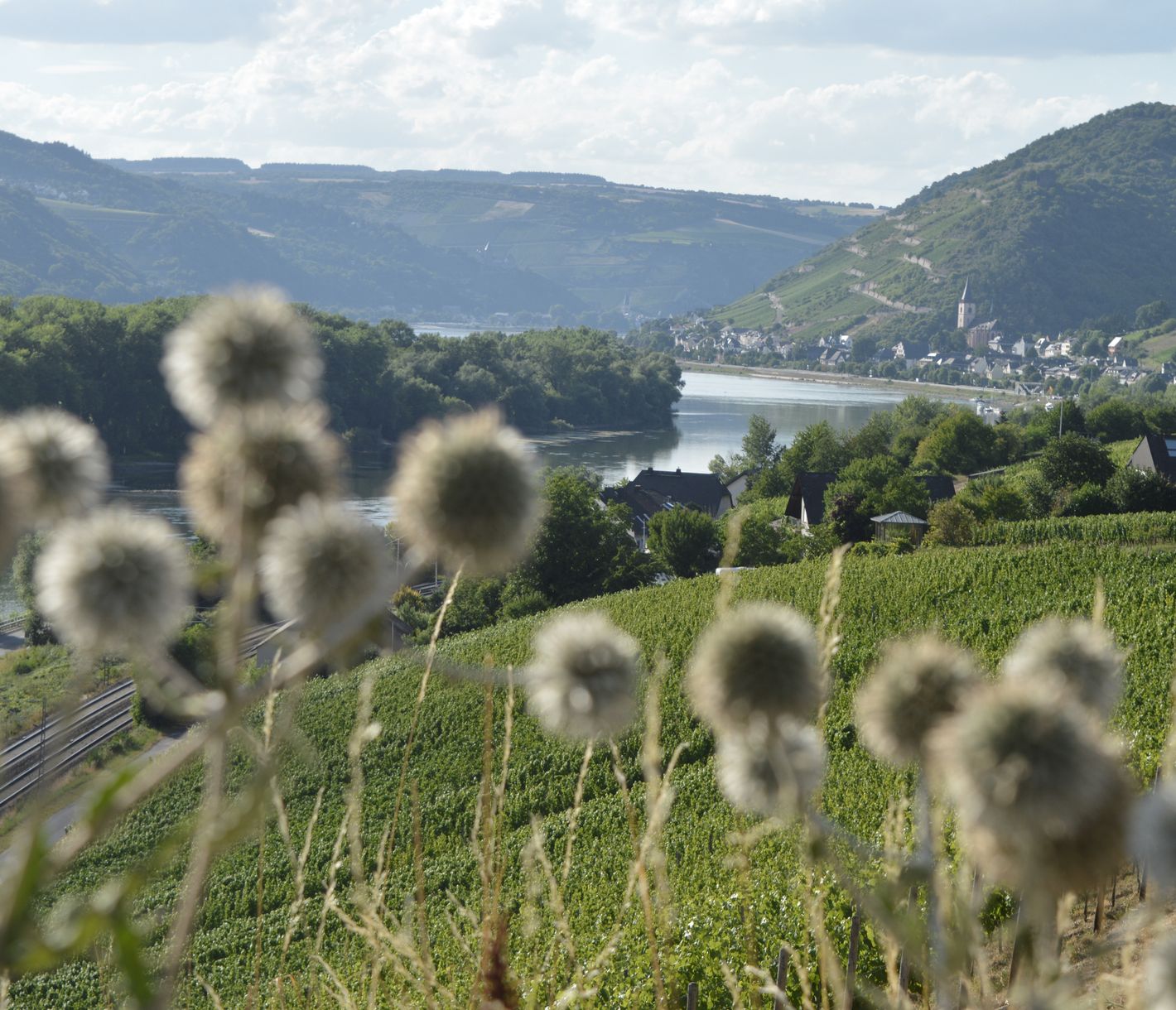 Lorch am Rhein UNESCO-Welterbe