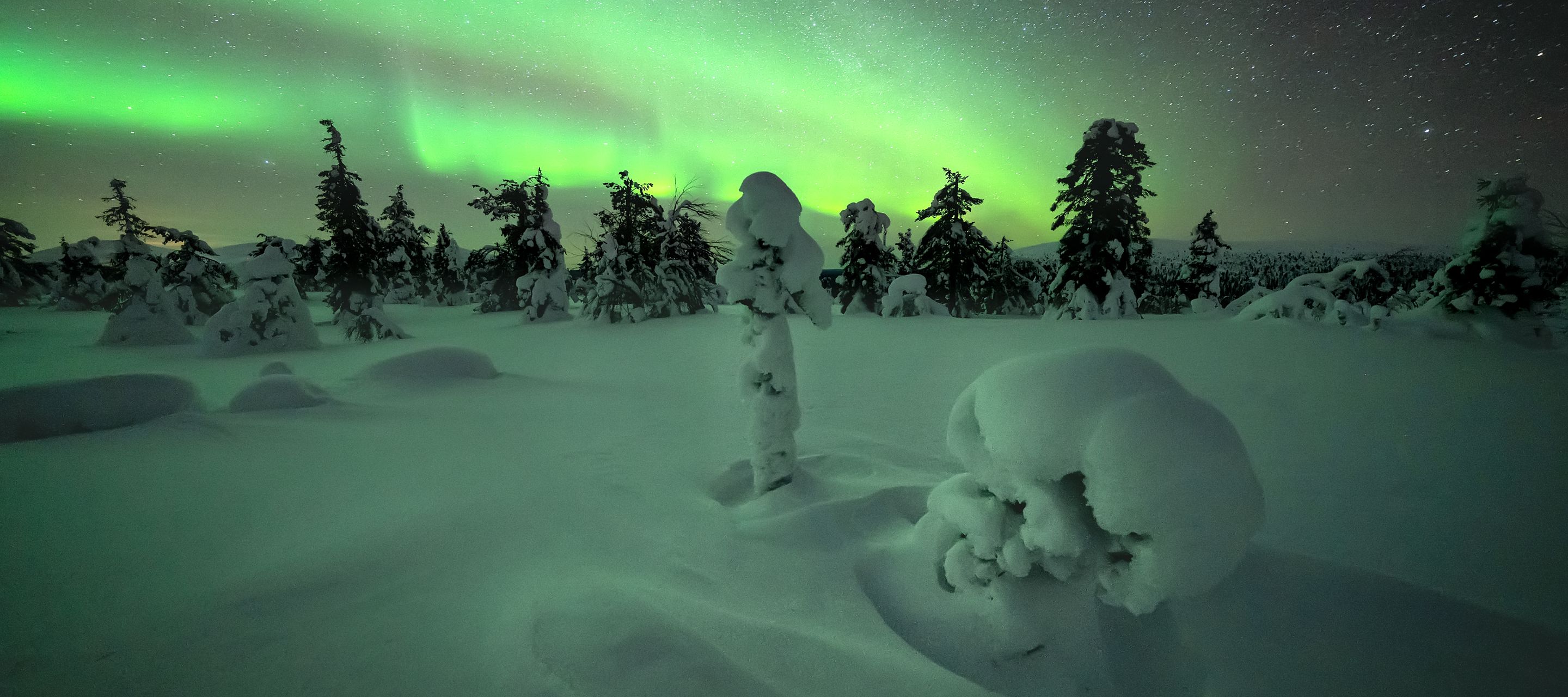 Nordlichter – ein besonderes Naturschauspiel