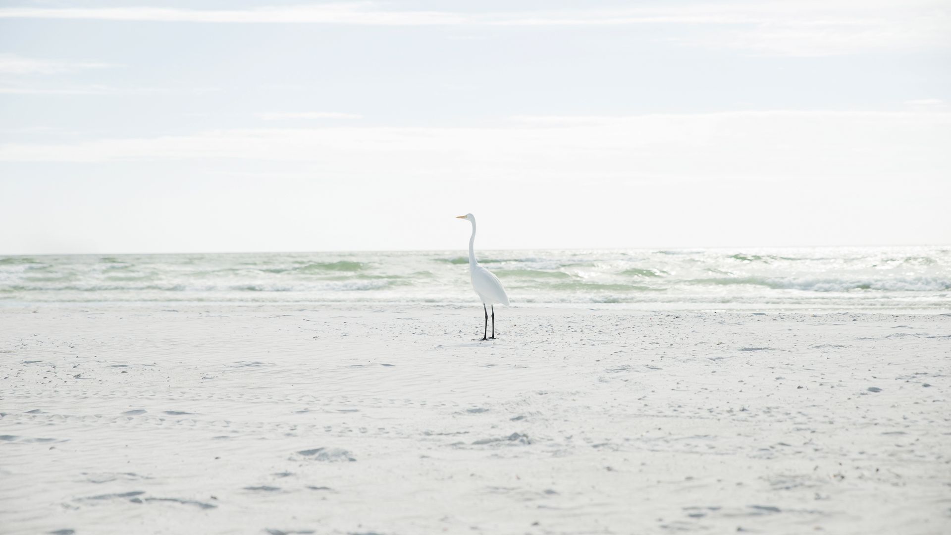 Sarasota Beach an der Golfküste von Florida
