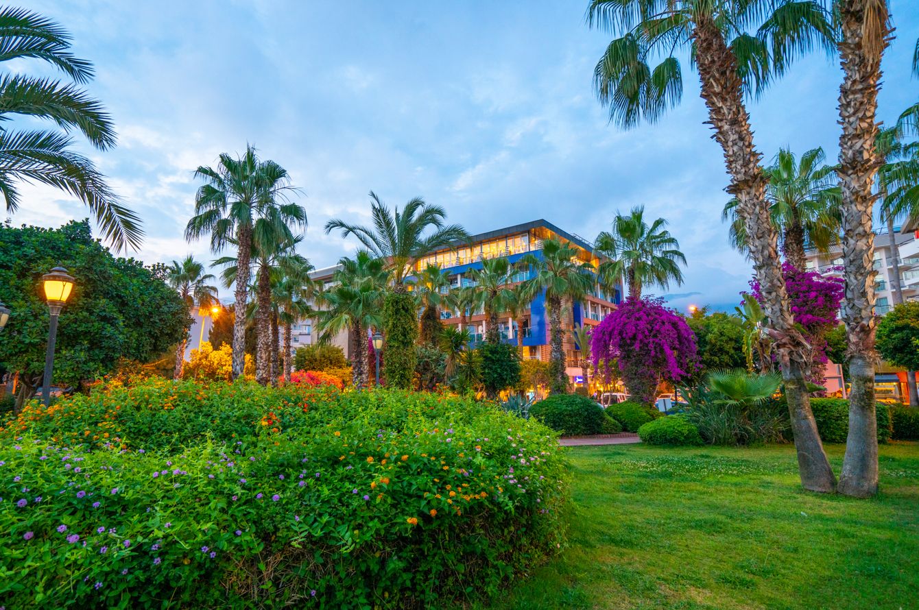 Jardin
