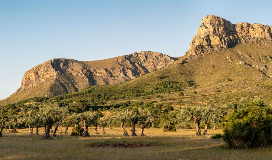 Naturpark Llevant, Mallorca
