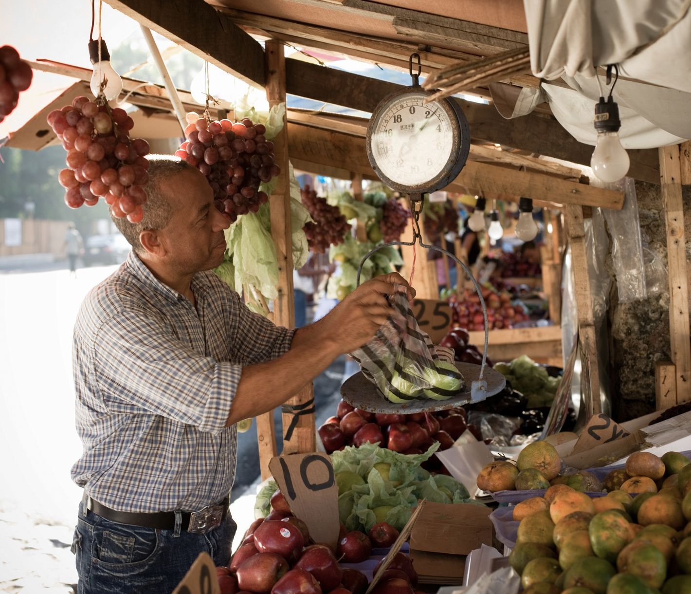 Lokaler Gaumenschmaus – ein Besuch auf dem Markt in Santo Domingo