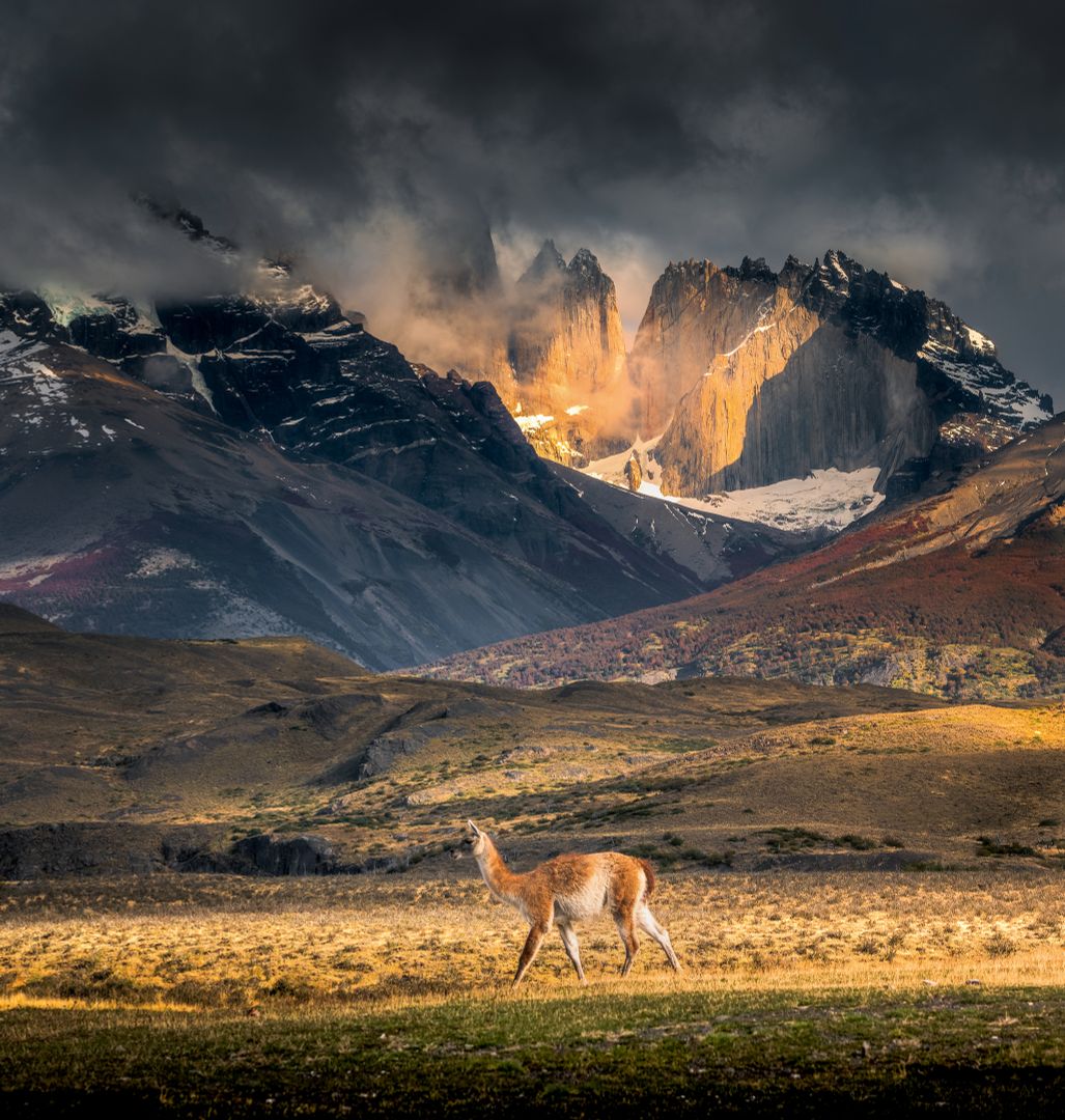 Traumkulisse Torres del Paine Nationalpark