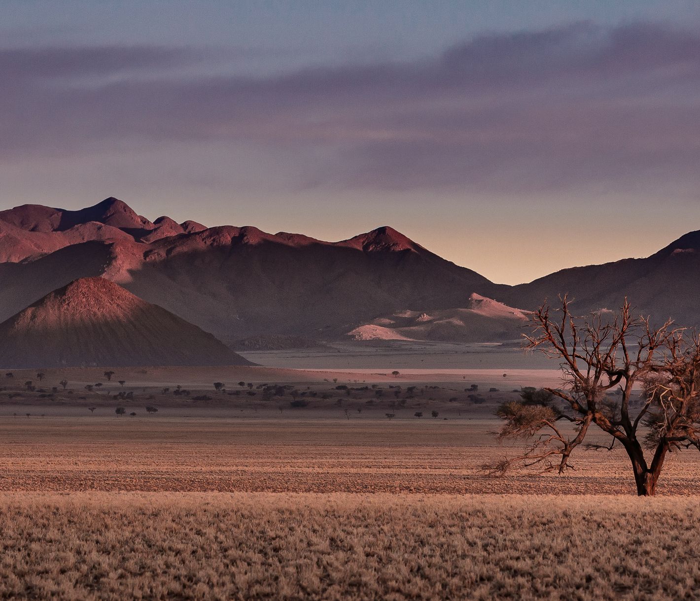 La réserve du Namib Rand, telle une peinture naturelle..
