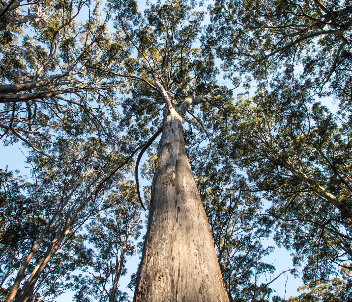 Landschaftliche Vielfalt