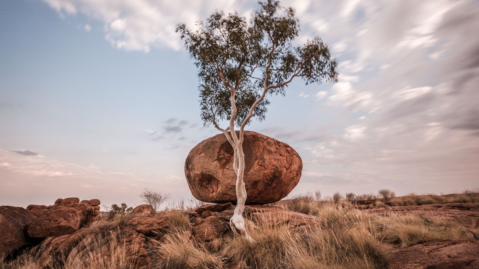 Wer hat hier seine Murmeln vergessen?