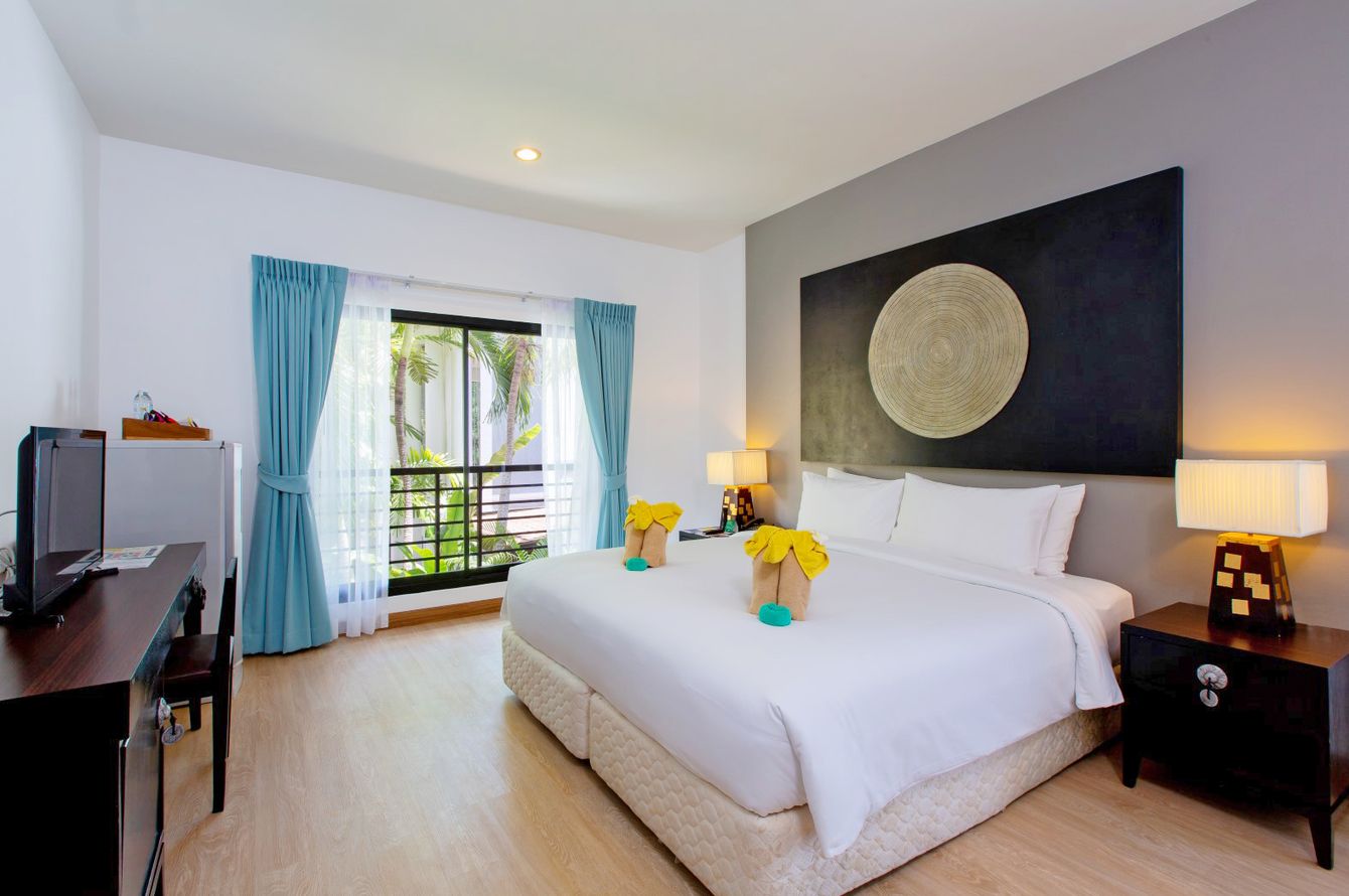 Sea Turtle Suite