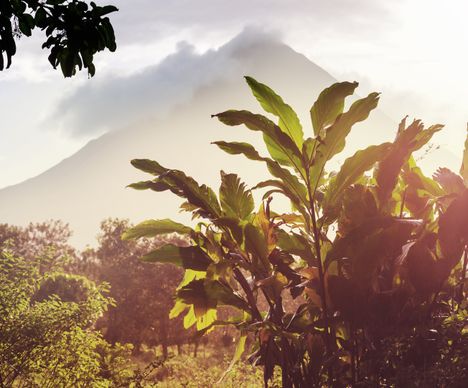 L'imposant volcan Arenal trône majestueusement sur son royaume