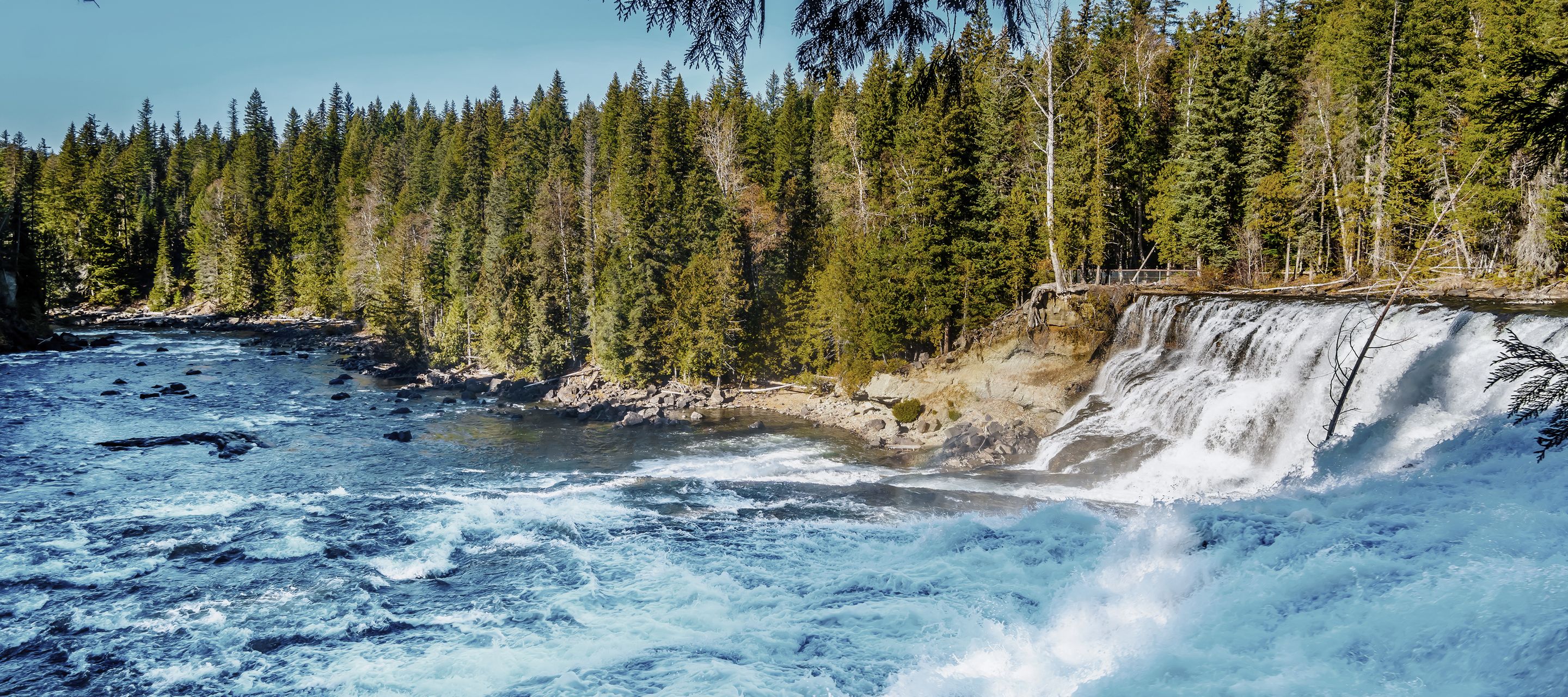 Les Dawson Falls à Wells Gray Provincial Park.