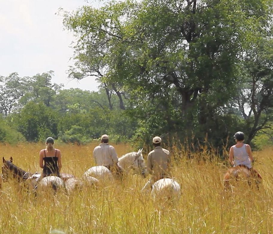 Tierbeobachtung zu Pferd im Busch
