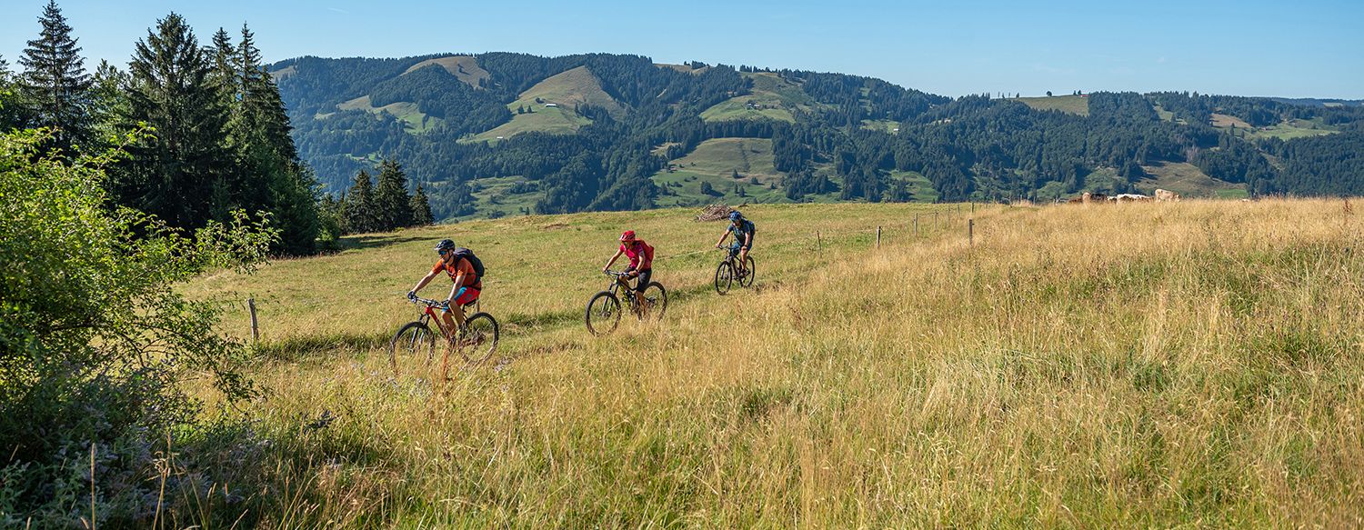 © Oberstaufen Toruismus Marketing / Tobias Heimplätzer
