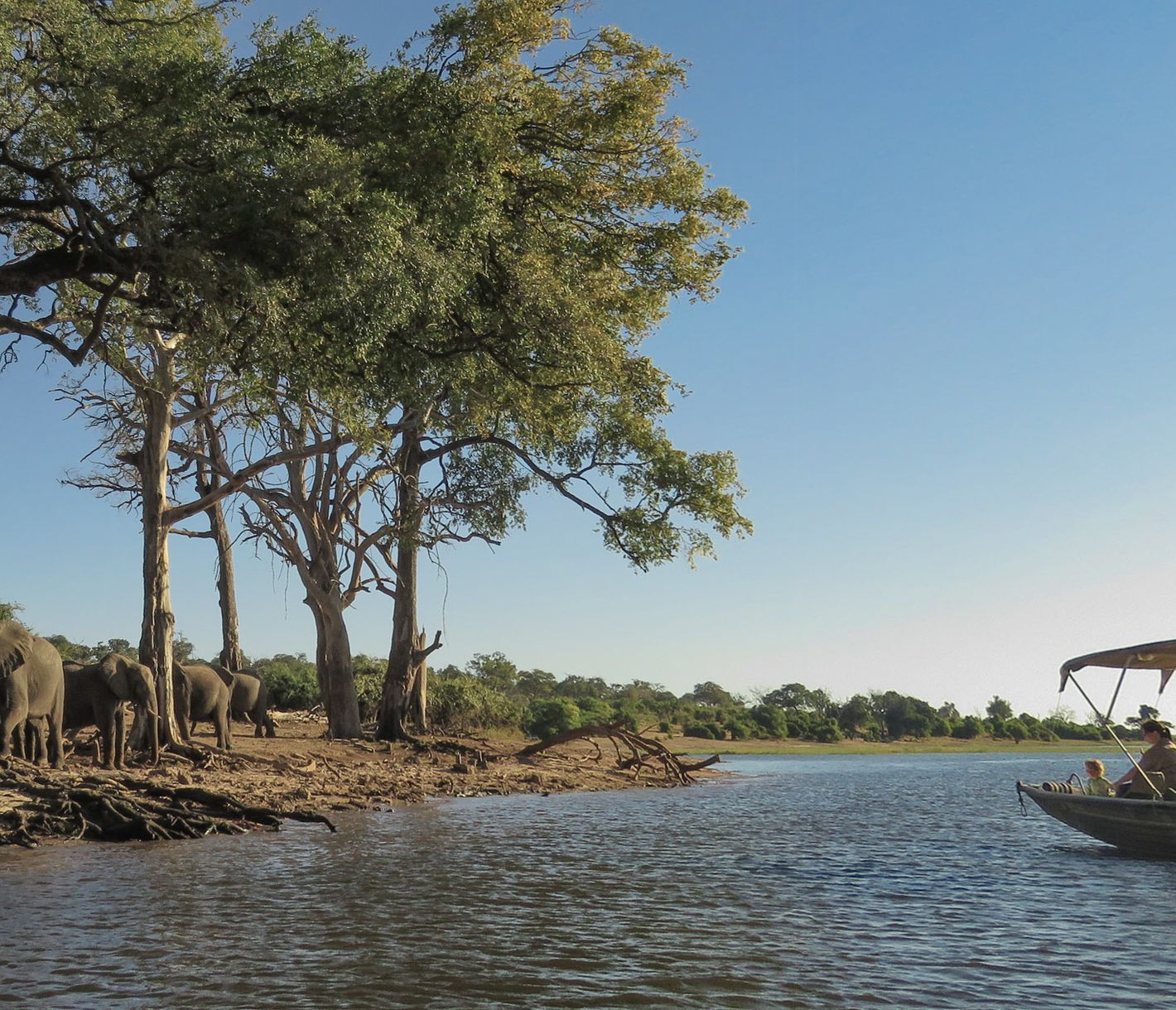 Bootsfahrt auf dem Chobe-Fluss mit Elefanten am Flussufer