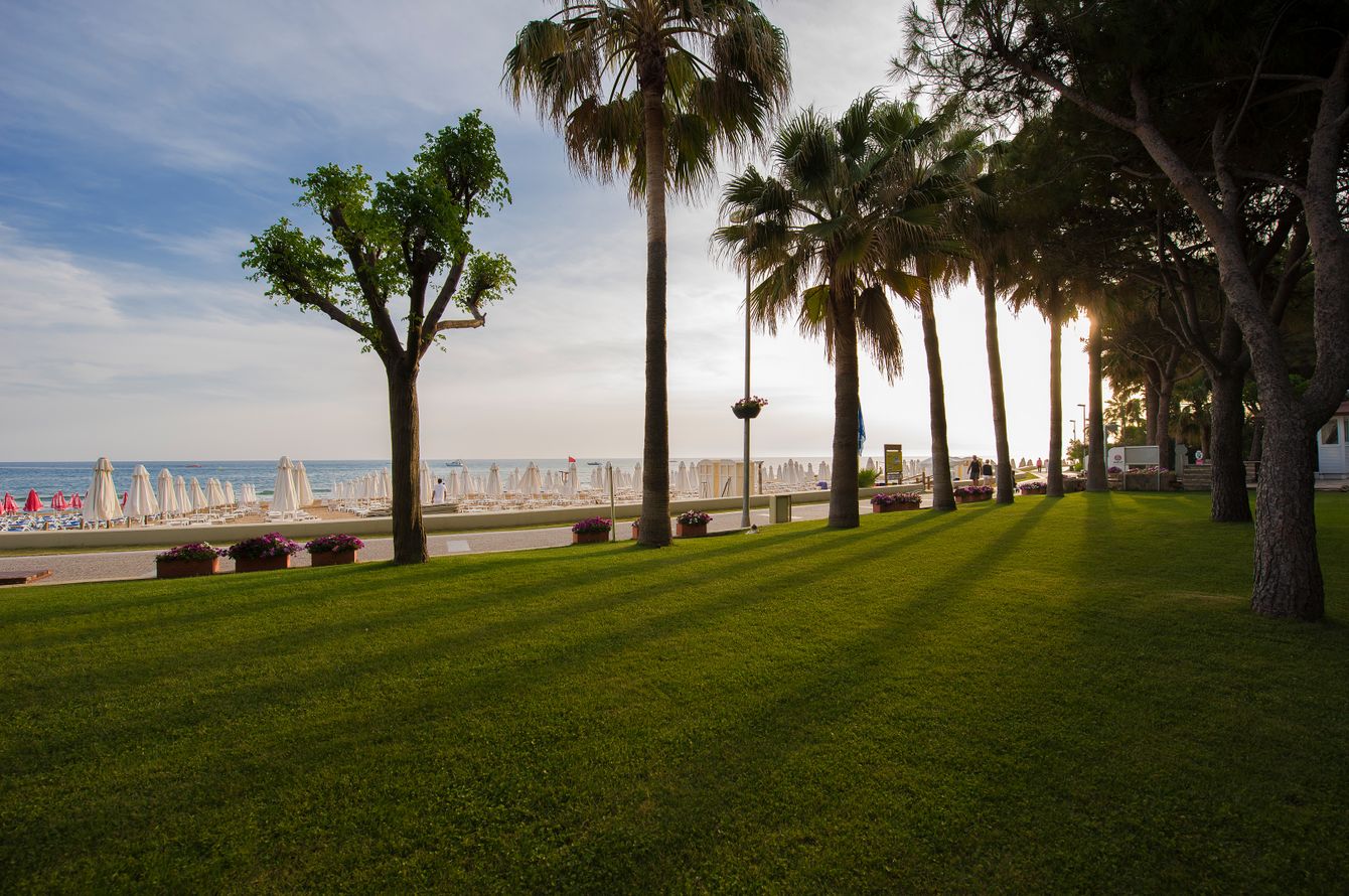 Strand