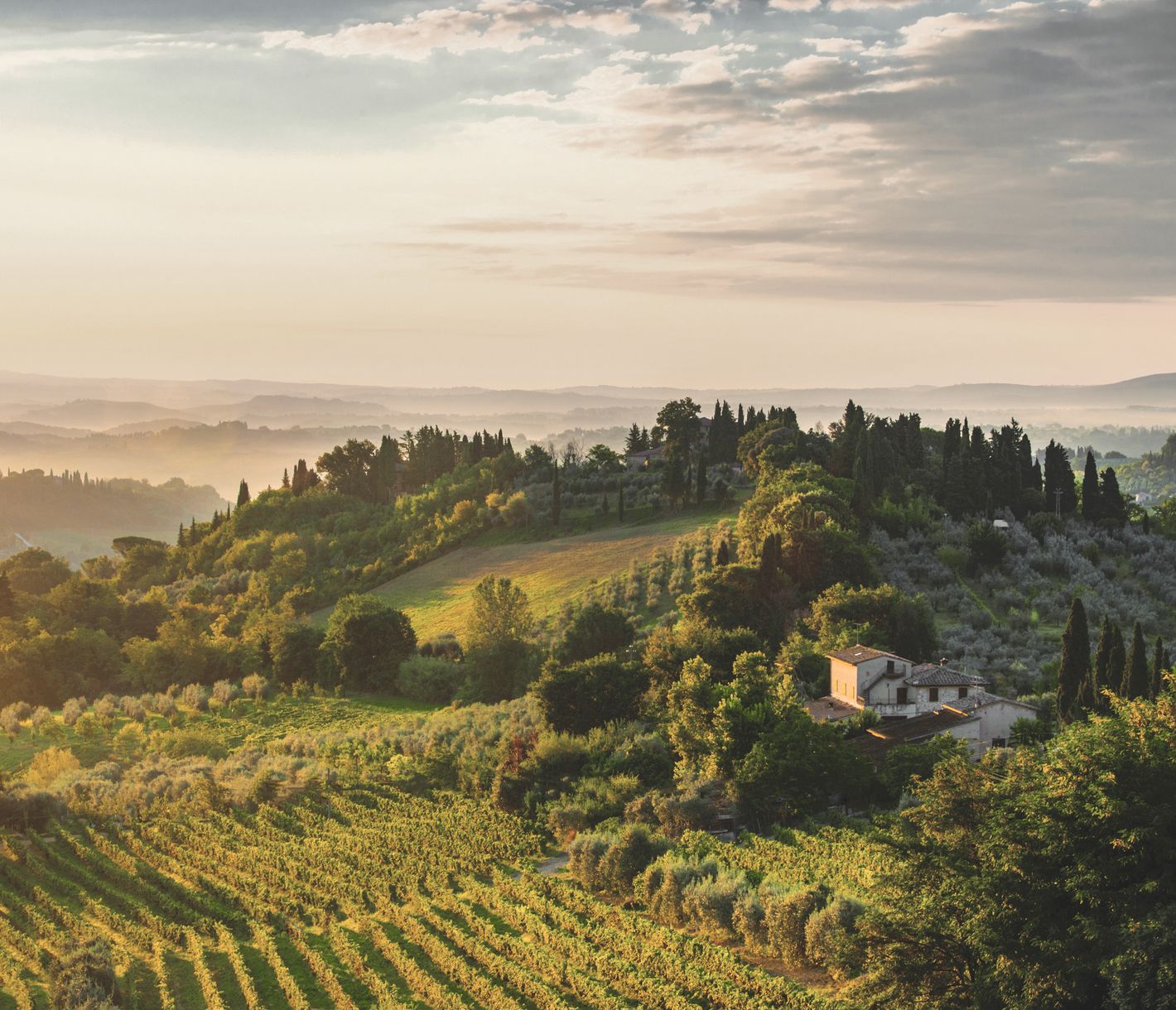 Die edle Weinregion der Toskana