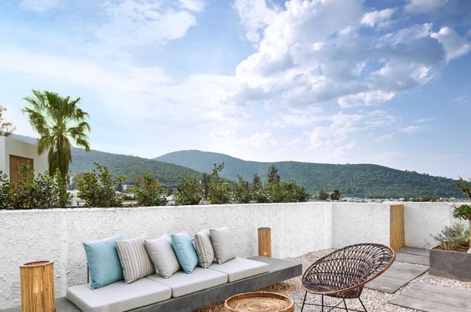 Superior-Zimmer Olive