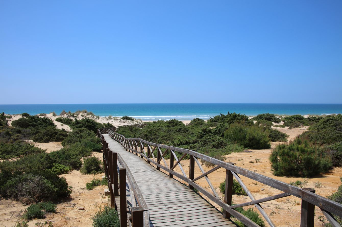 Iberostar Selection Andalucia Playa