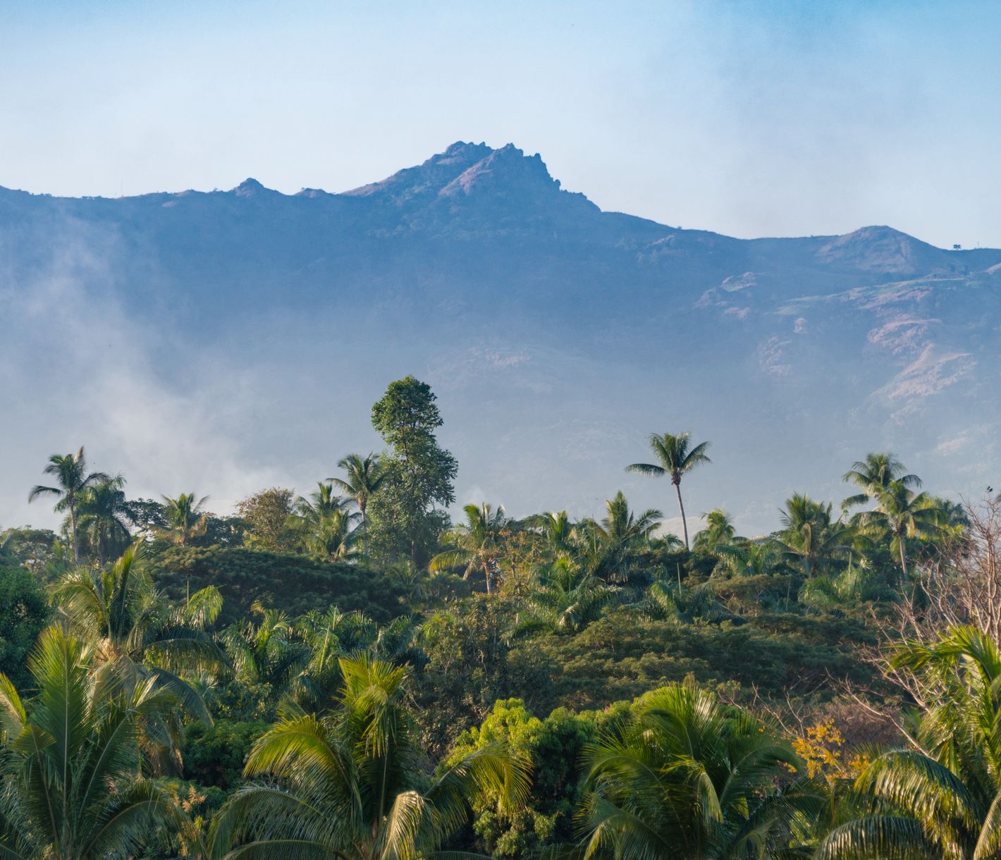 Wie wär's mit einer Wanderung?