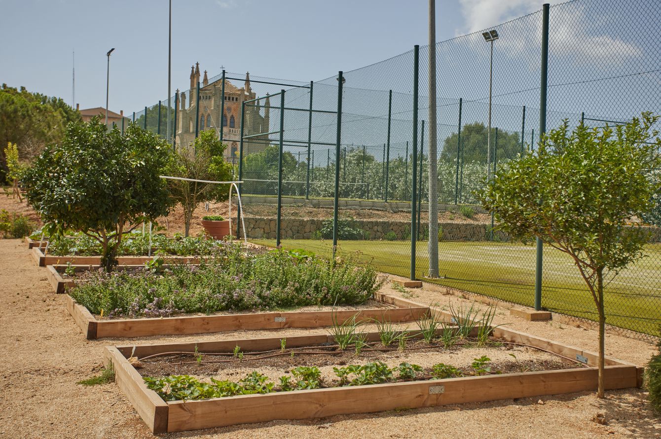 Jardin