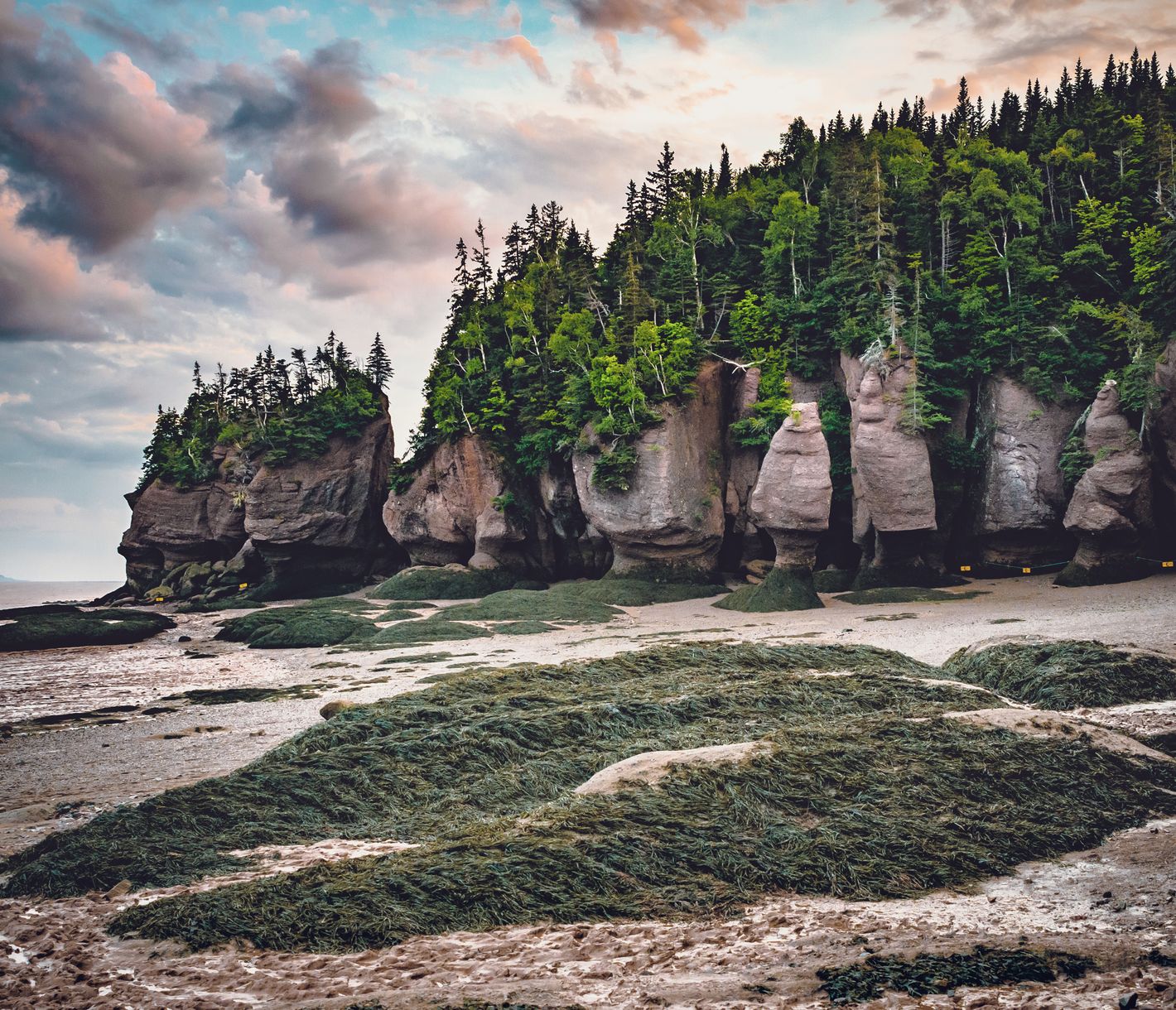 Die berühmten Hopewell Rocks