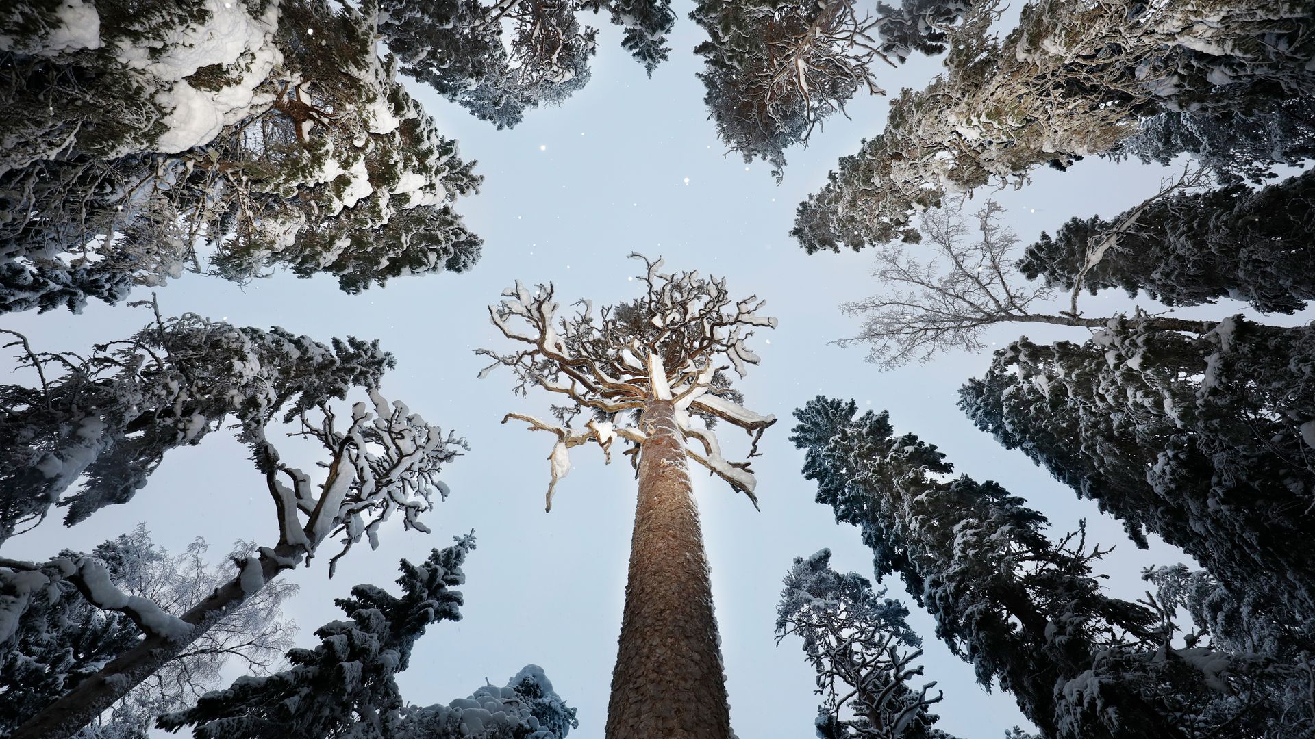 Eintauchen in eine Märchenlandschaft aus Schnee und Eis