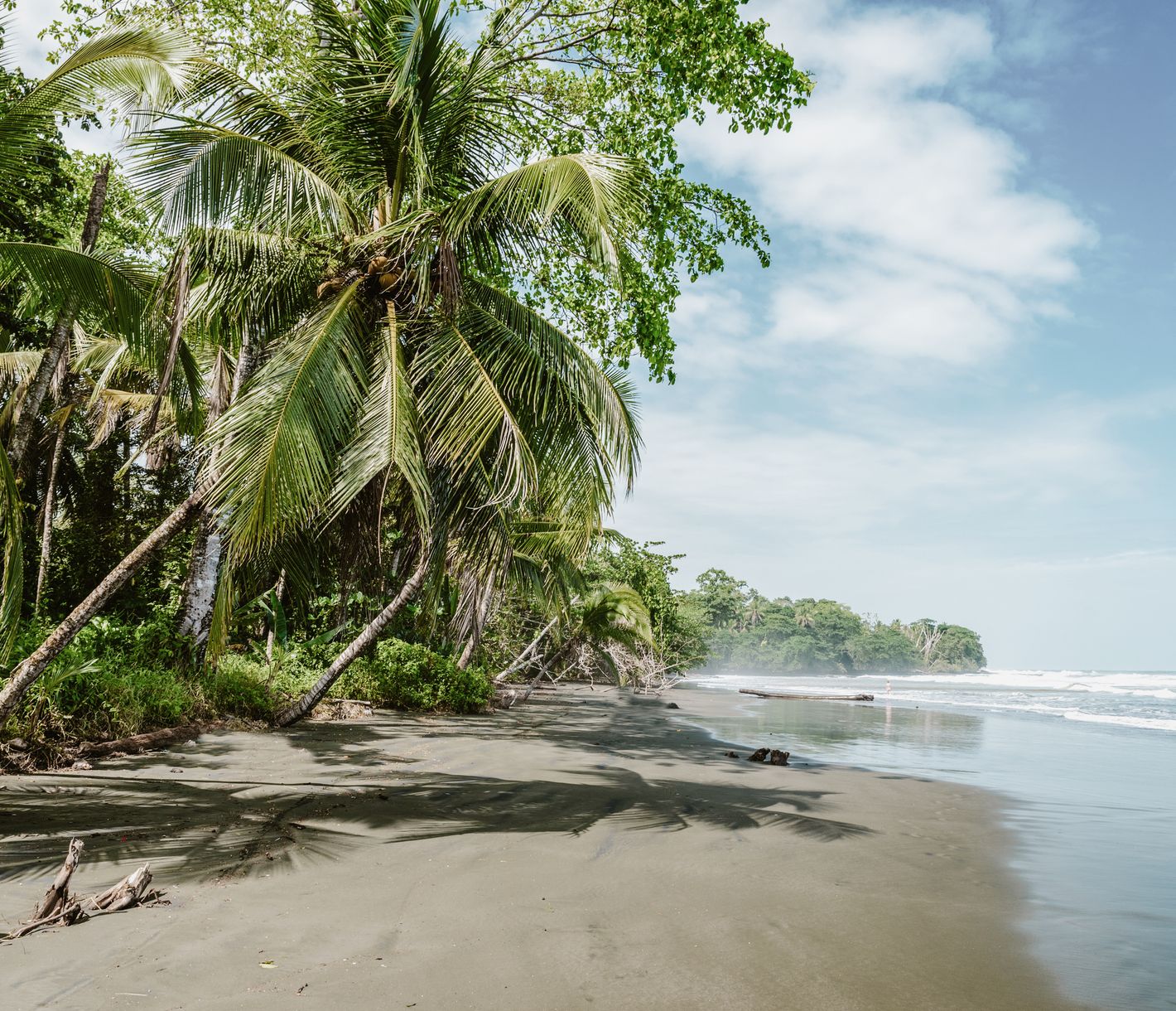 Laisser son esprit vagabonder.