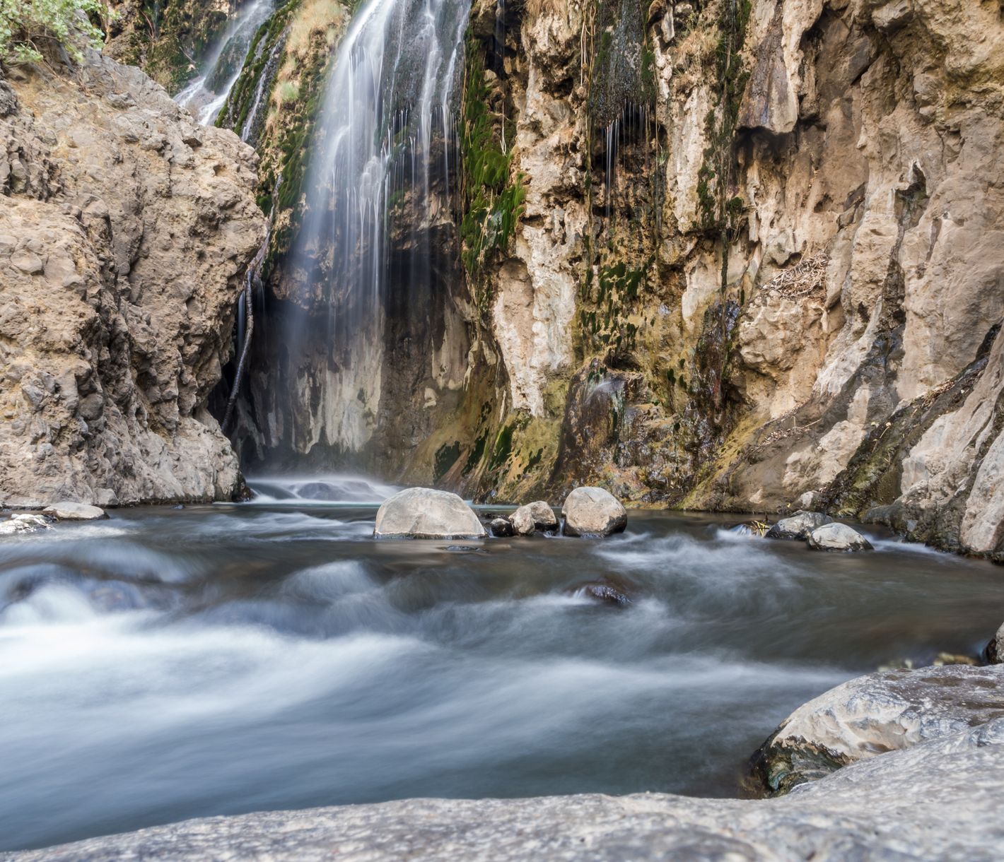 Envie de piquer une petite tête ?
