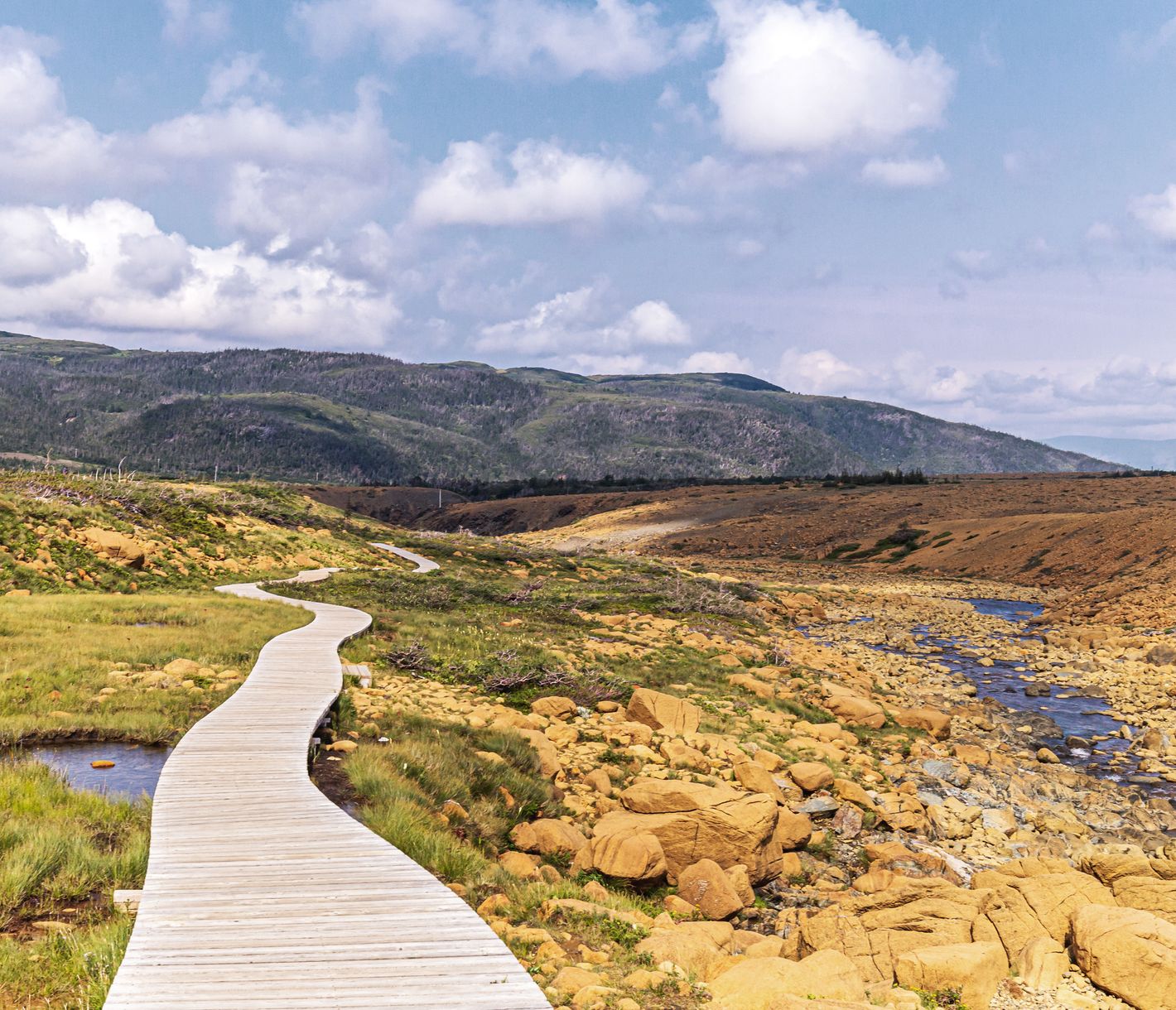 Tablelands dans le Parc National de Gros Morne.