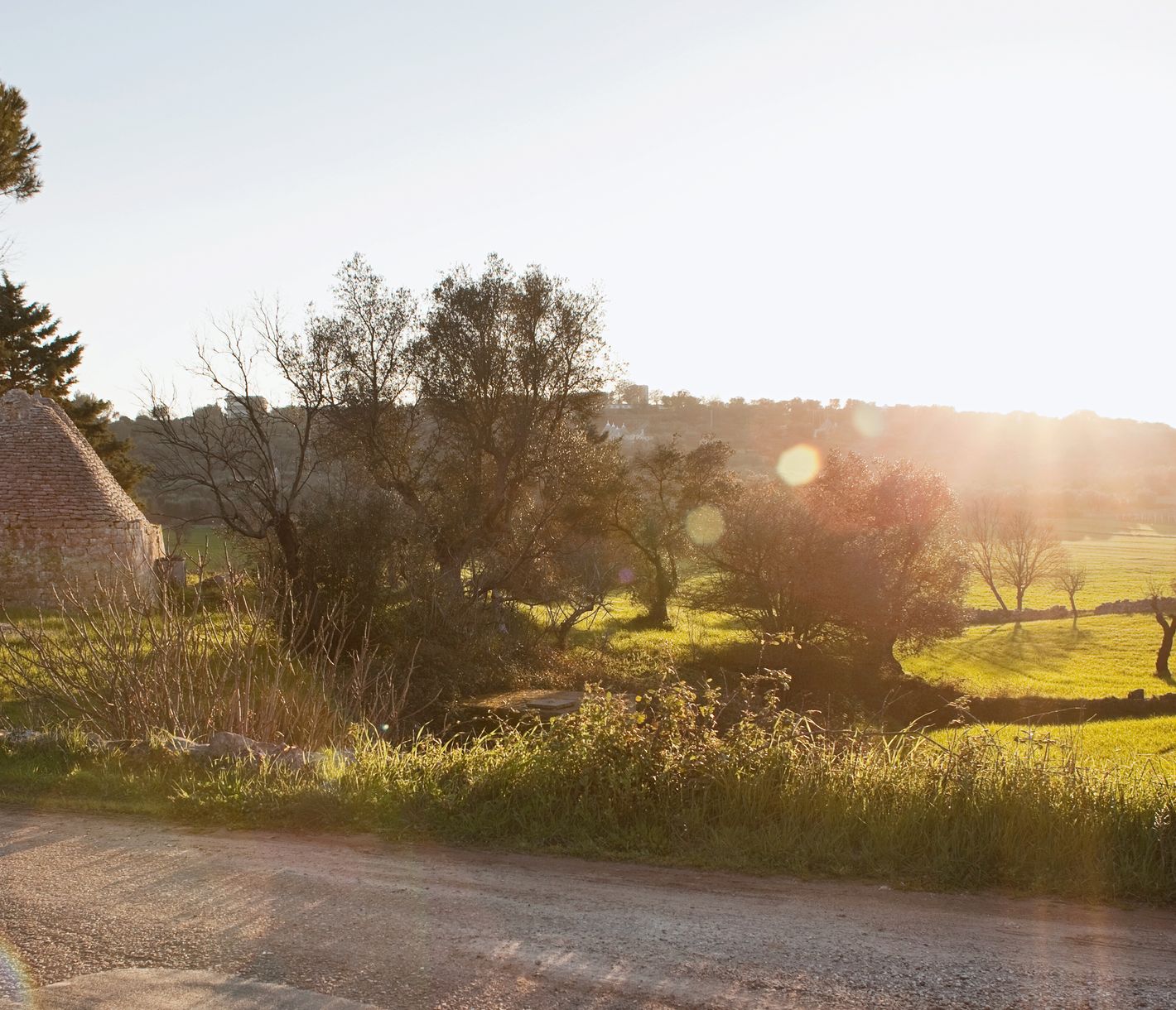 Entlang der Landstrasse