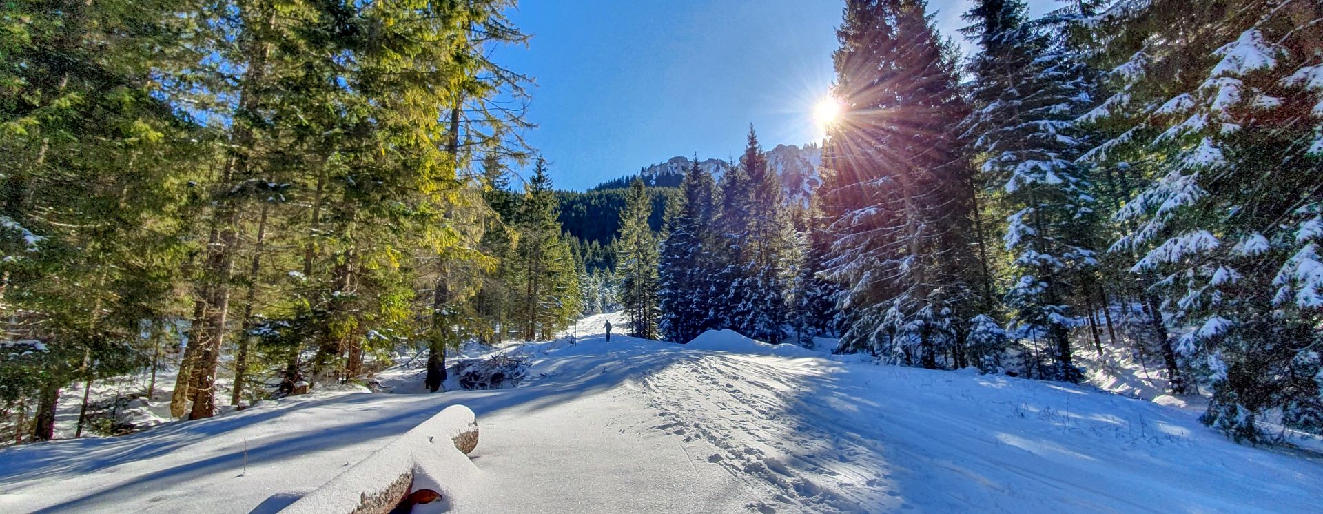 Kolbensattel im Winter