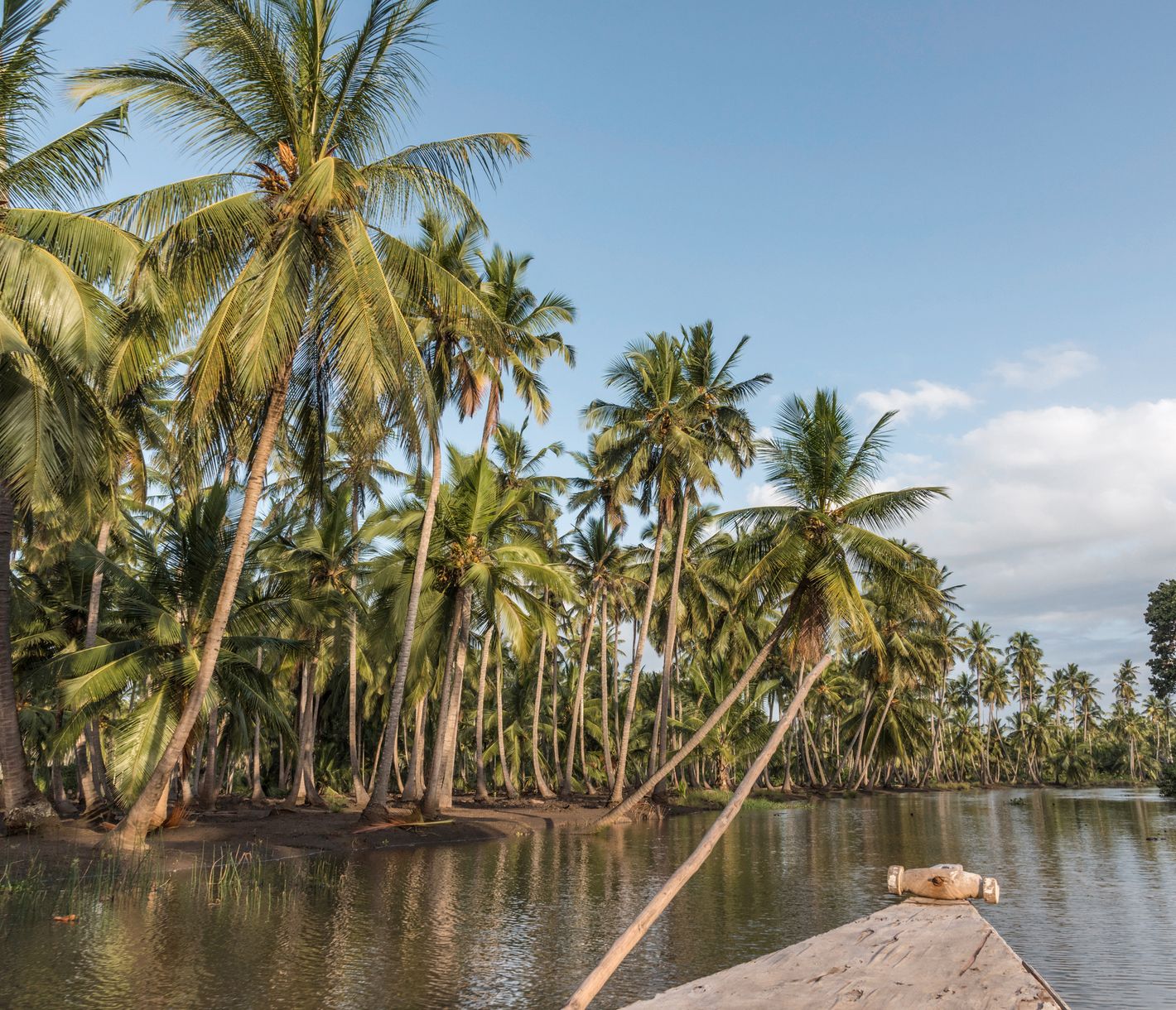 Bootstour auf dem Pangani-Fluss