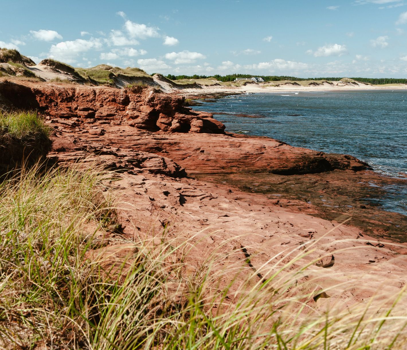 Die rauen und lieblichen Küsten von Prince Edward Island