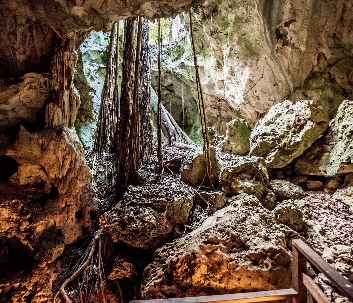 Die Green Grotto Caves gehören zu den spannendsten jamaikanischen Sehenswürdigkeiten, die die Natur geschaffen hat.