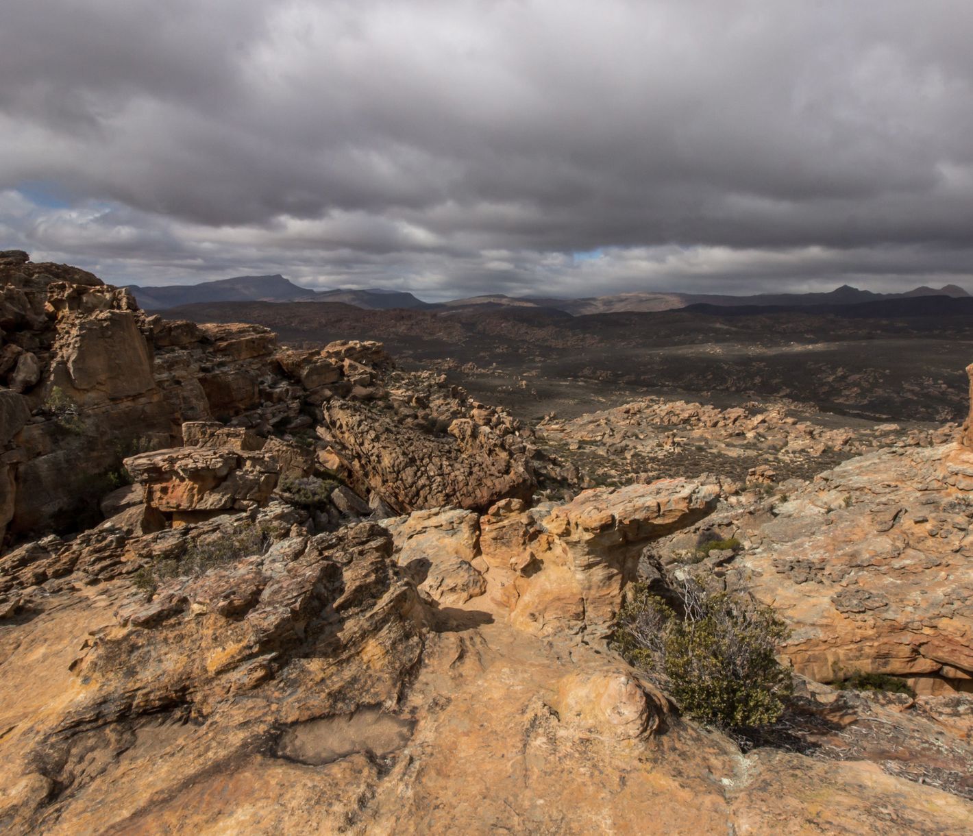  Un véritable labyrinthe, où l'on prend plaisir à se perdre...