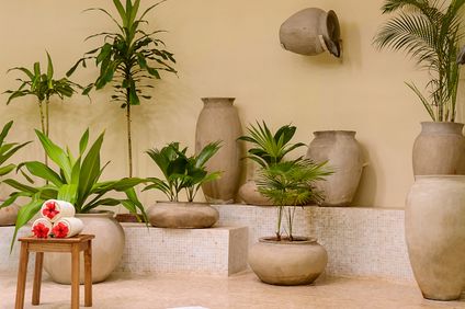 13. Bild der Unterkunft