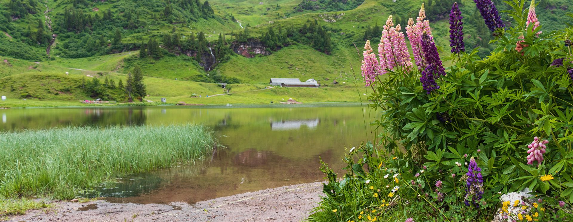 Vue sur le lac et les collines à Flumserberg