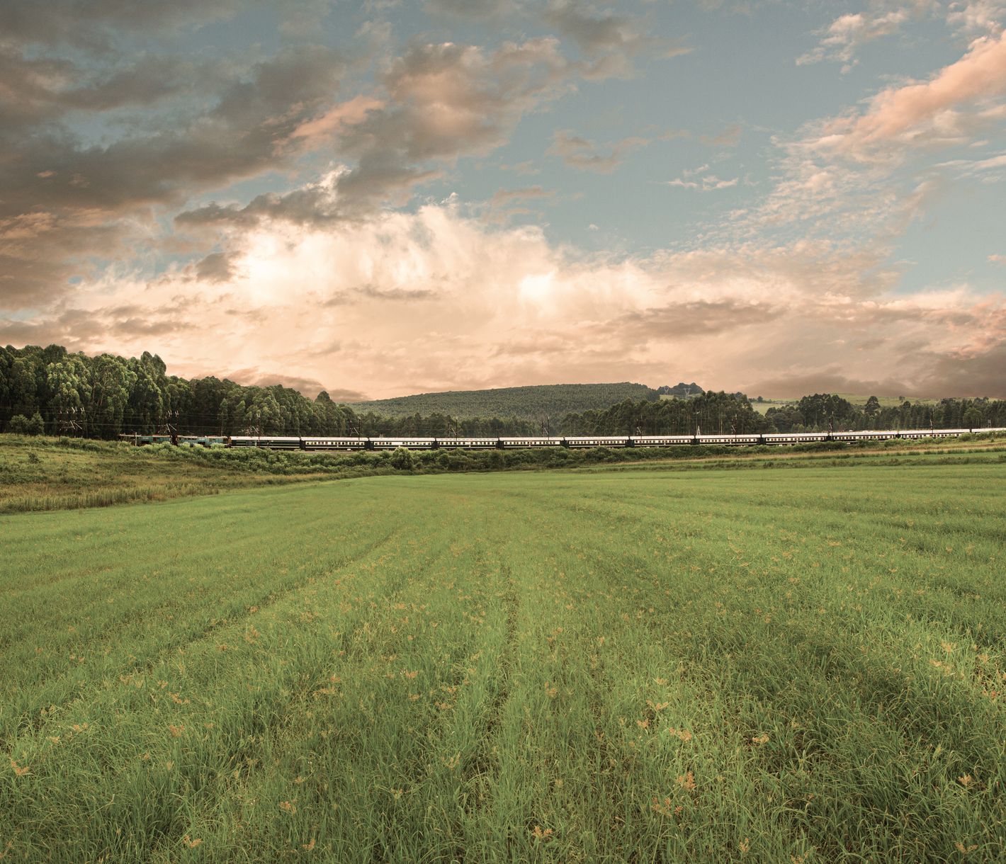 Von Durban nach Pretoria