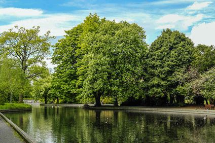 3. Bild der Unterkunft