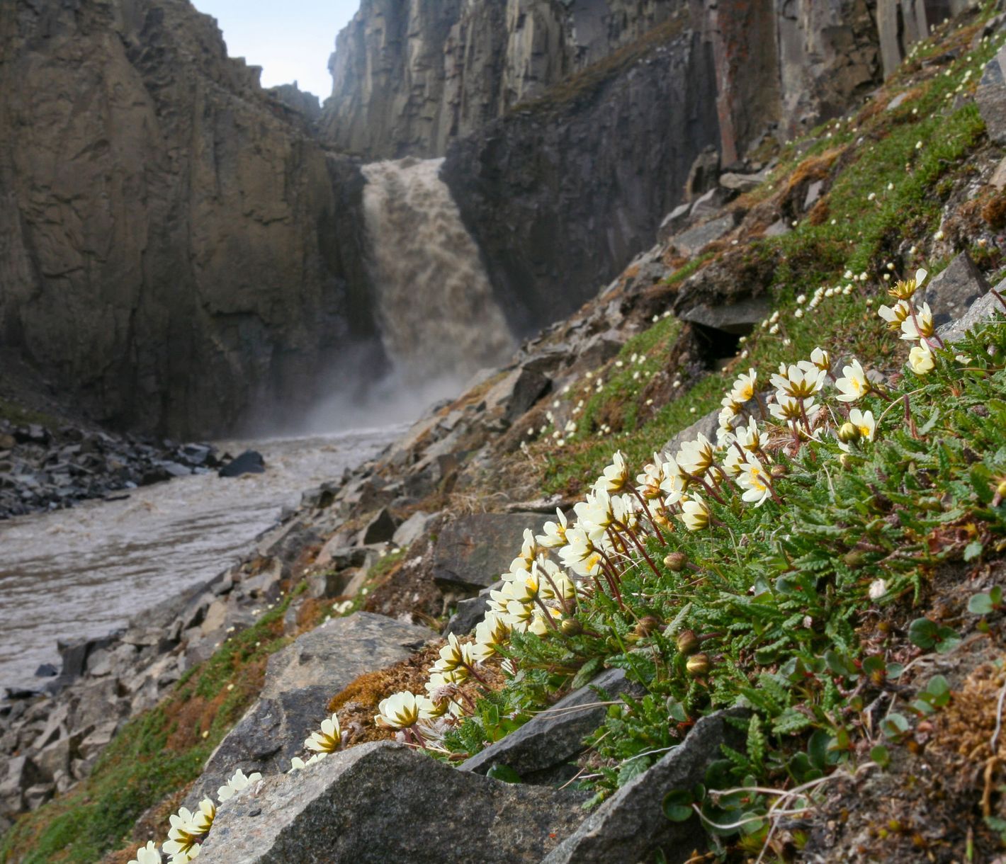 Wanderung zum Hyperittfossen
