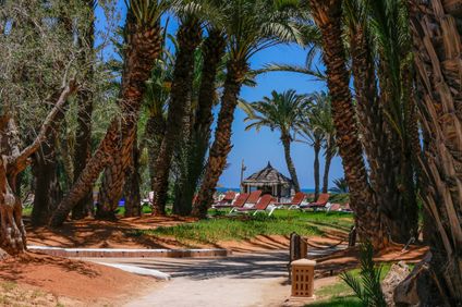 13. Bild der Unterkunft