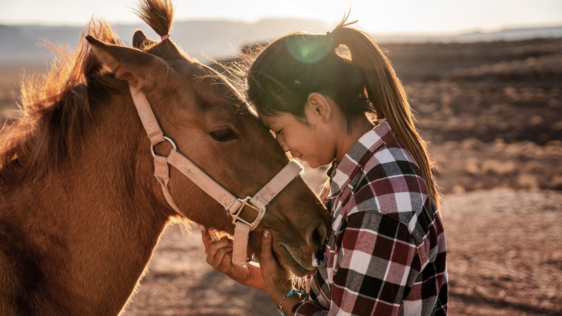 Les descendants des Navajos de Monument Valley préservent leurs traditions qui accordent une place particulière à la nature.