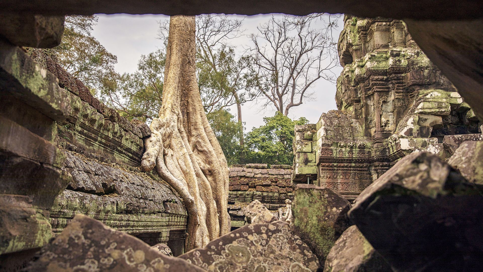 Le temple aux fromagers, un endroit poétique grâce à la présence d’une forêt protectrice.