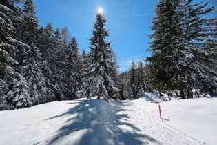 Zauberwald Lenzerheide